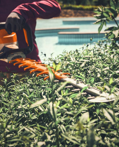 taille Taille-haies à Bonnelles dans les Yvelines 78